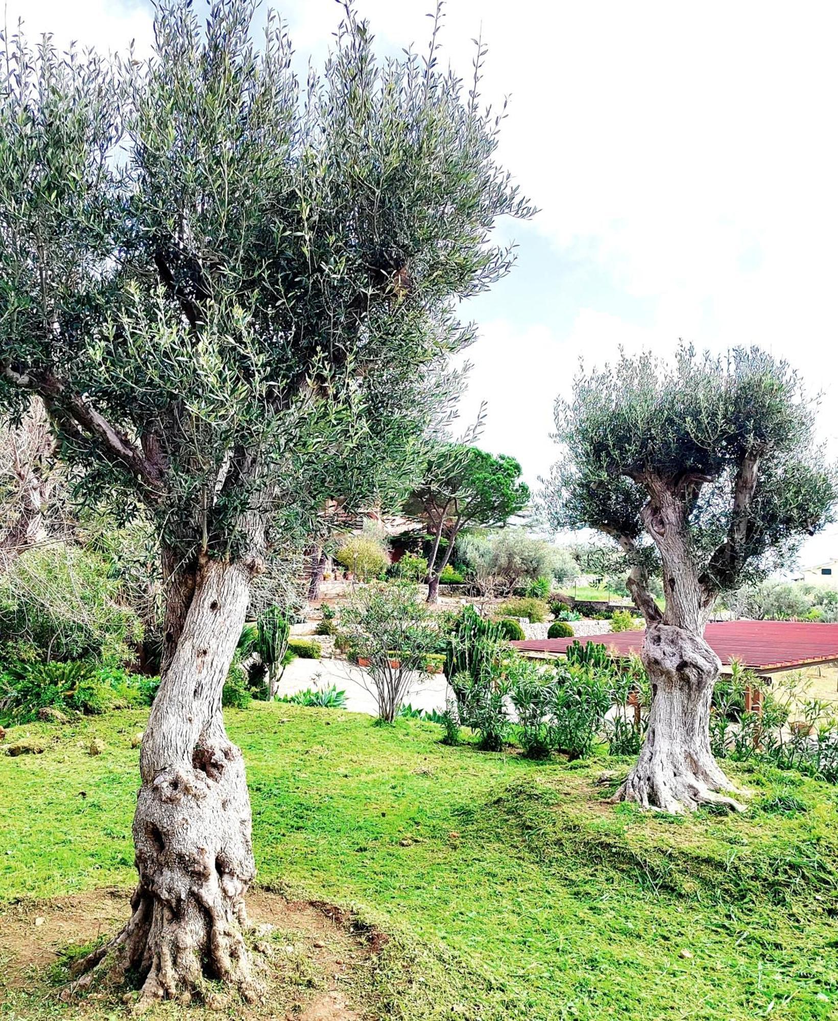 Villa Orizzonte Sullo Jonio Avola Zewnętrze zdjęcie