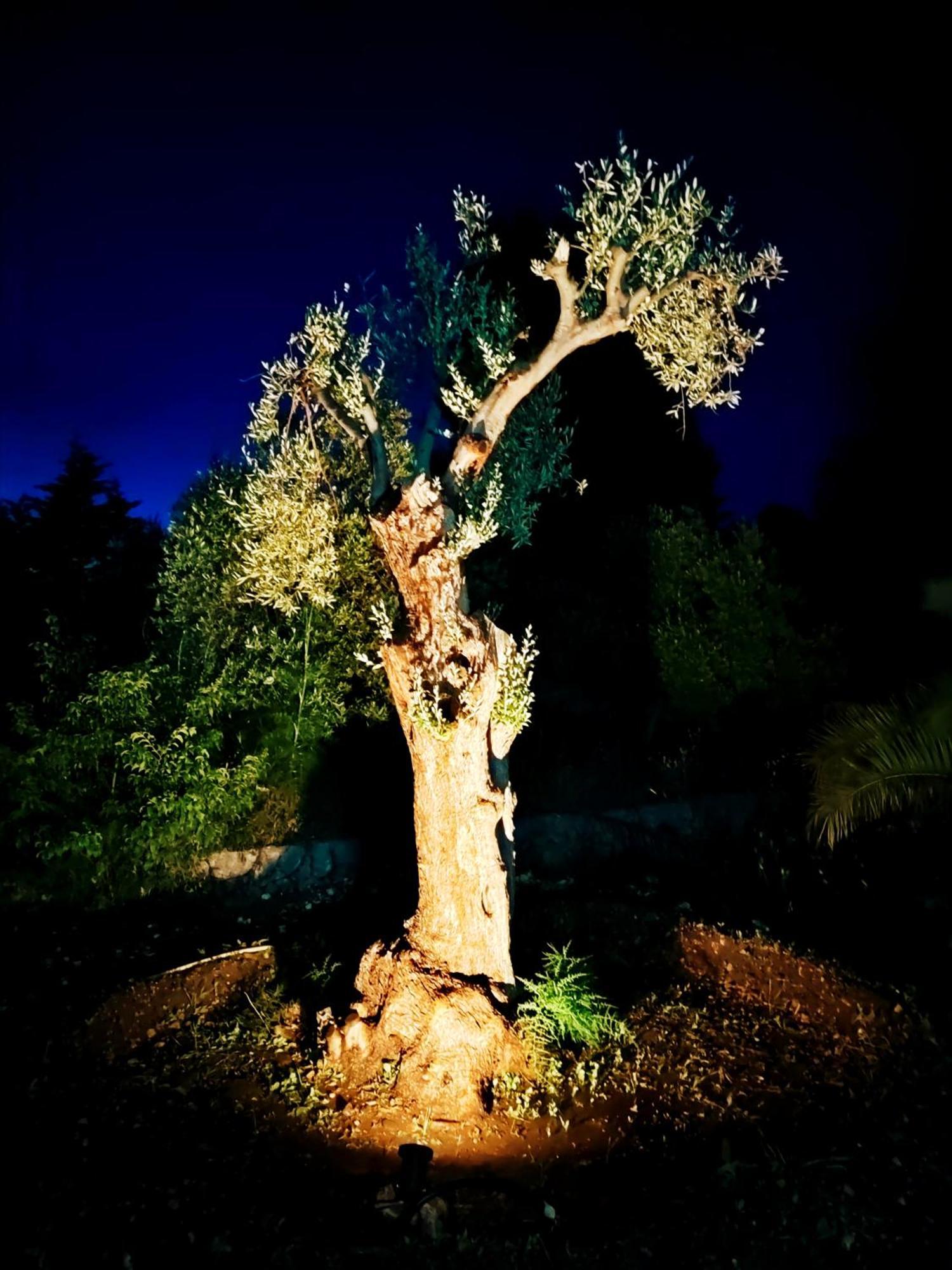 Villa Orizzonte Sullo Jonio Avola Zewnętrze zdjęcie